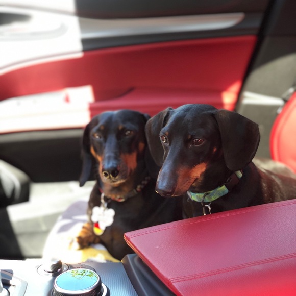 Meet your Posher, Tina🌺 - Picture 5 of 7